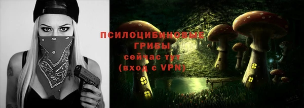 ALPHA PVP Михайловка