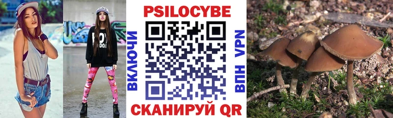 Галлюциногенные грибы Magic Shrooms  цена   Иннополис 